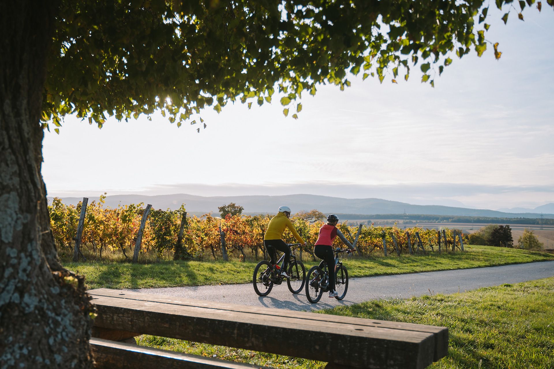 Radfahren am Neusiedler See